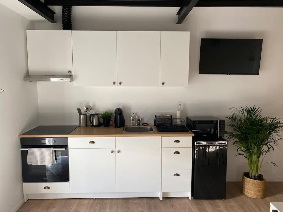 Appart Renove En Duplex Avec Terrasse Et Garage Bouleurs 외부 사진